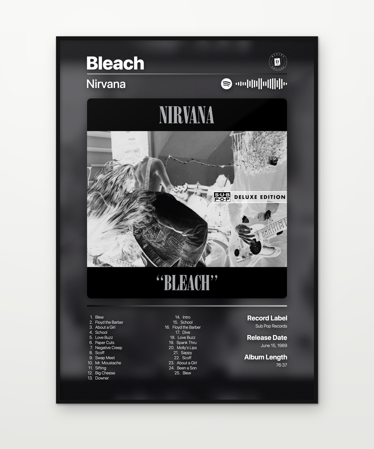 Nirvana Bleach