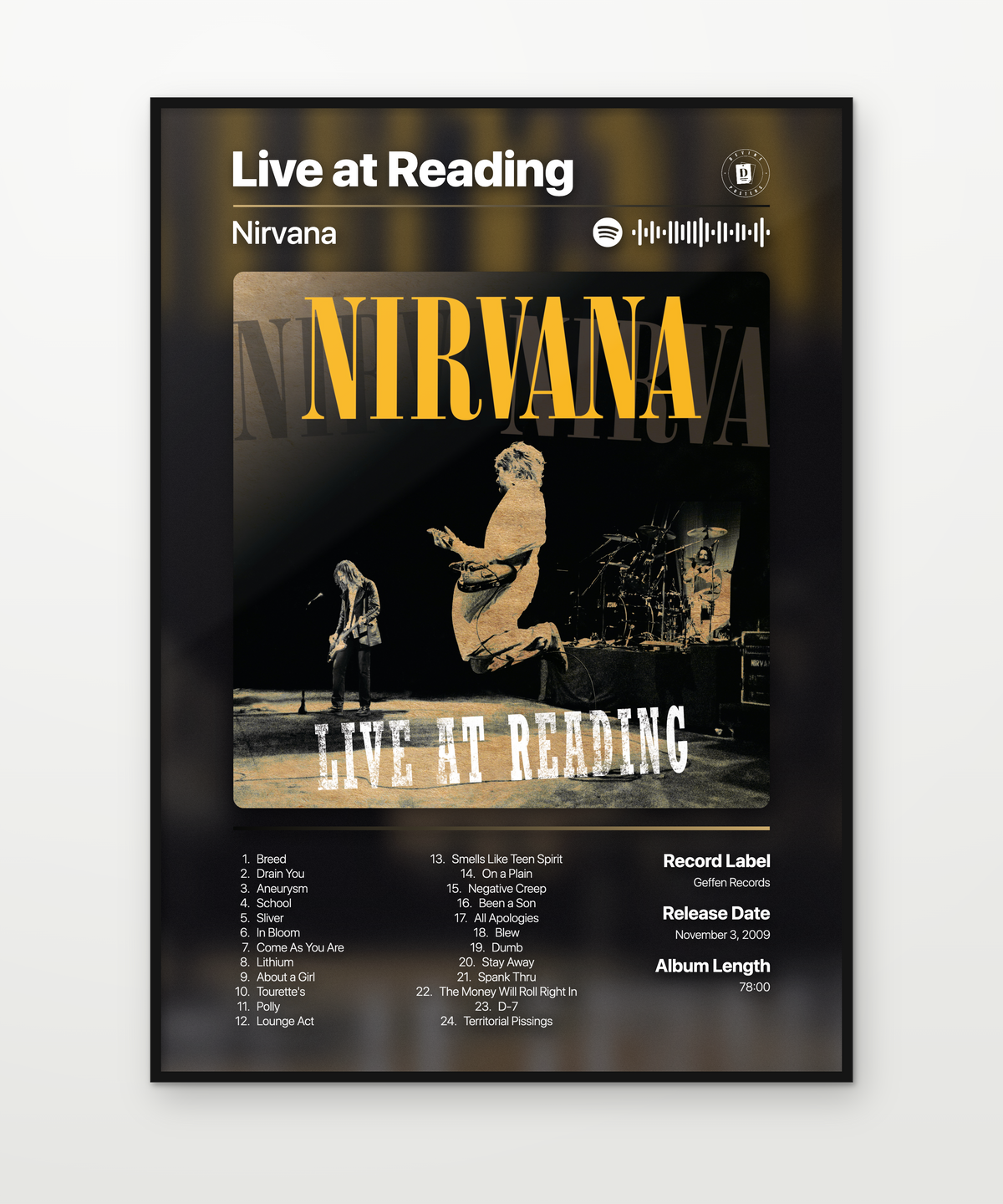 Nirvana Live at Reading